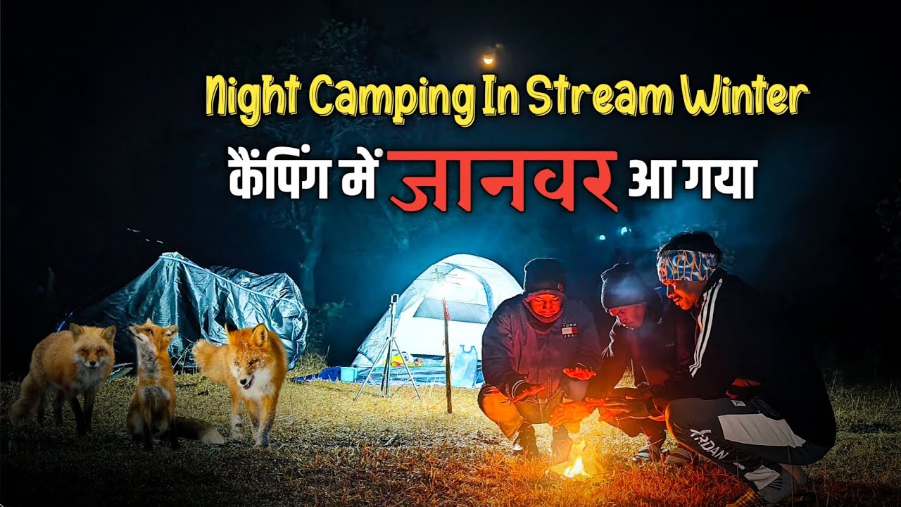 Night Camping In Stream Winter ।। कैंपिंग में जानवर आ गया।। Full Night Camping In Silent Place 😱