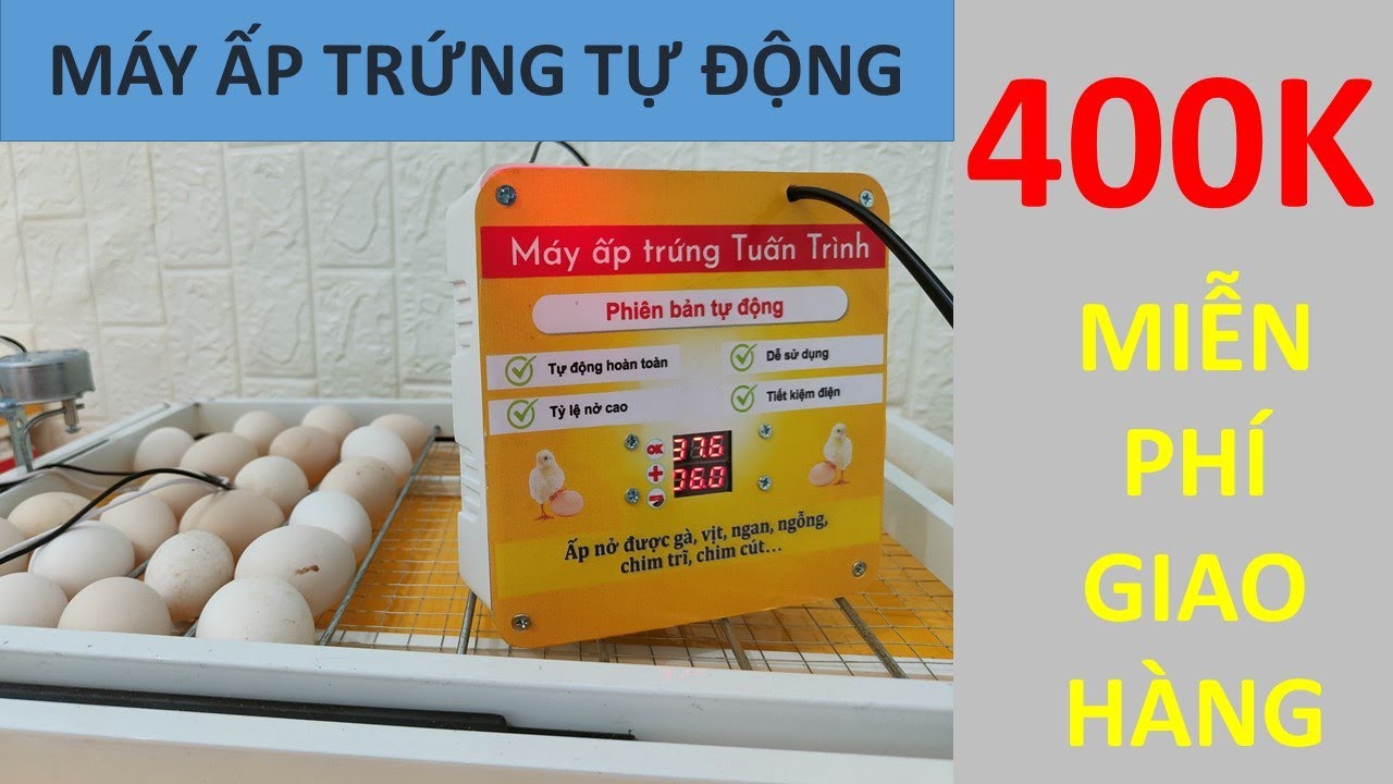 Máy ấp trứng khay đảo tự động mới nhất