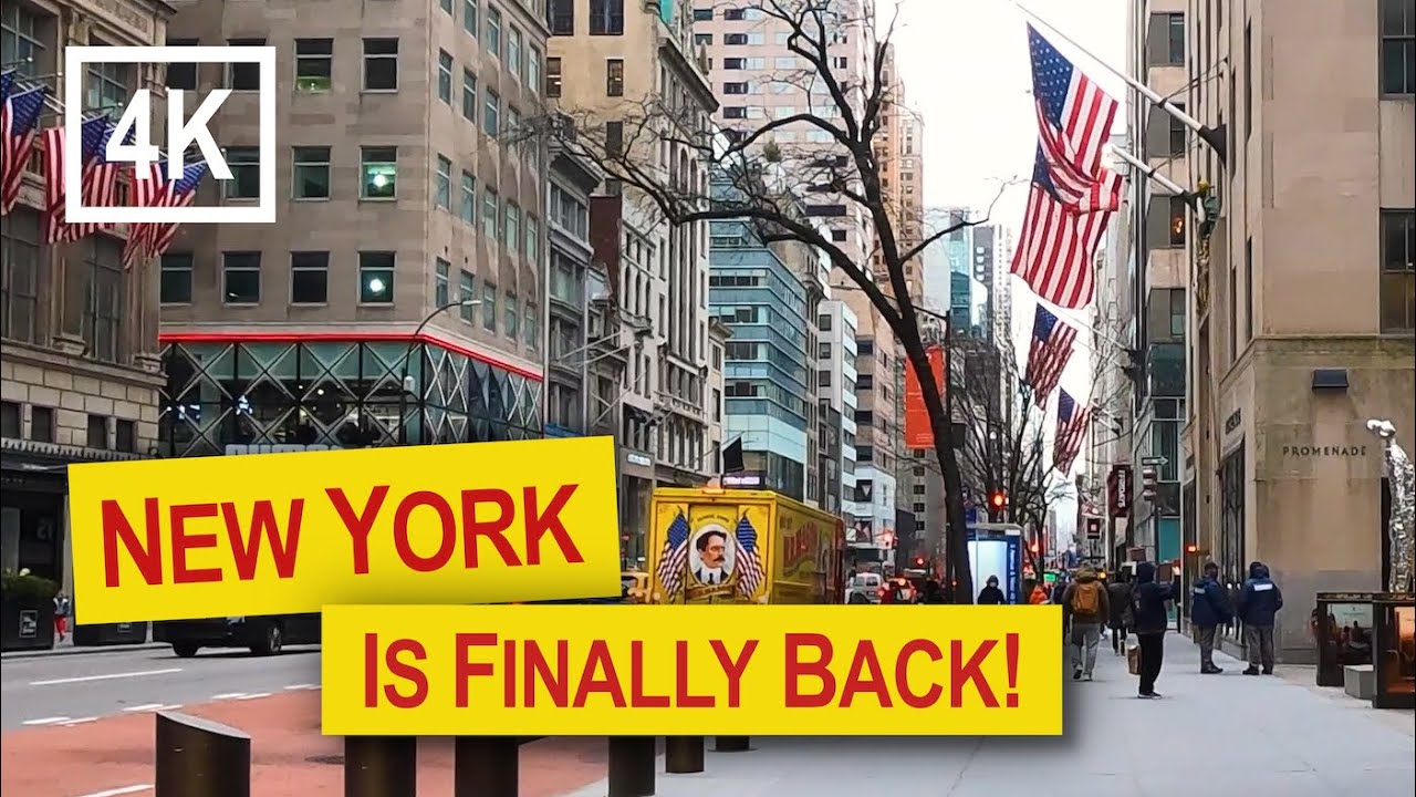 A Walk Down 5th Avenue | New York