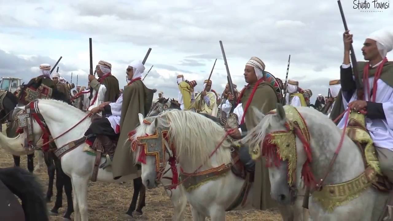 Salon du Cheval Tiaret 2016