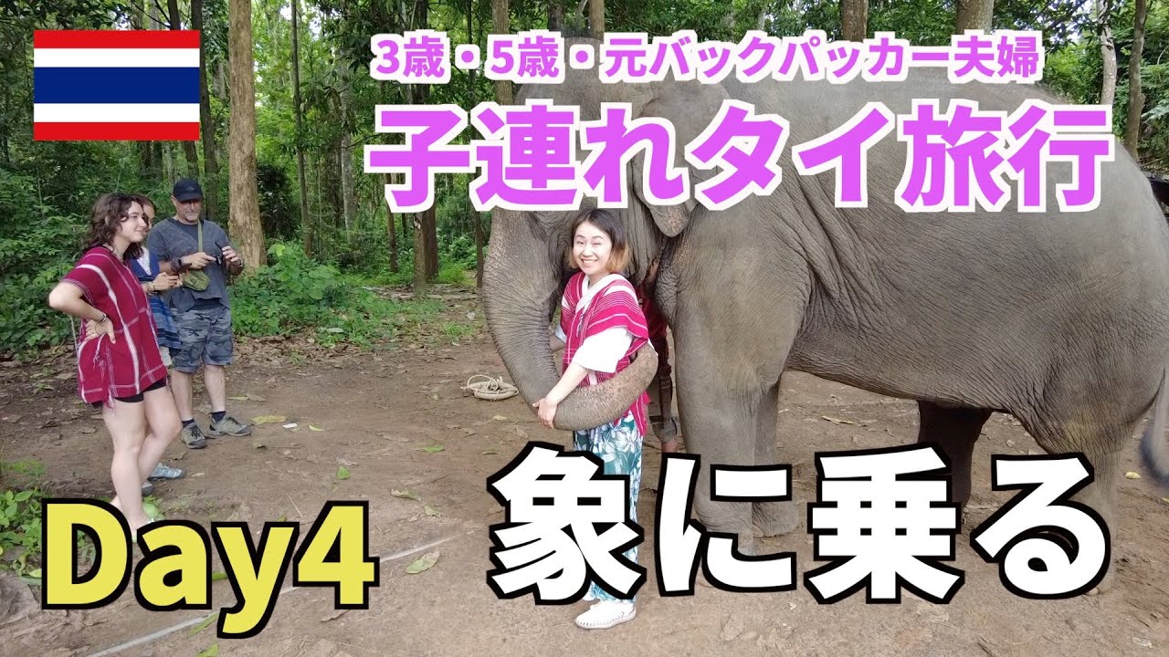 【子連れ海外🇹🇭】チェンマイ来たら絶対行くべき！象乗りツアーに行ってみた！
