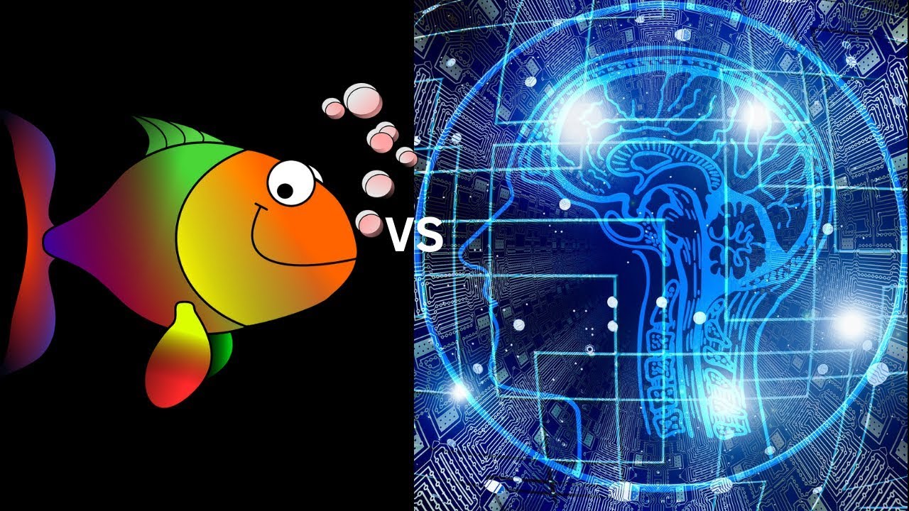 Alphazero plays the Schliemann defence vs Stockfish - Game 19