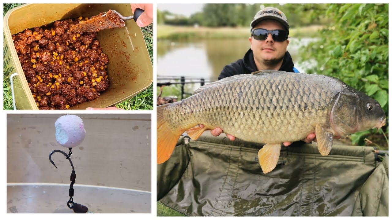 Pescuit La Crap - O partida Scurta Primavara ! Tehnici, Monturi, Nada. Bonus: O platica mare!