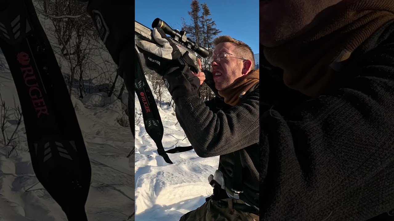 4 дня кемпинга на Аляске при температуре -23 градуса 