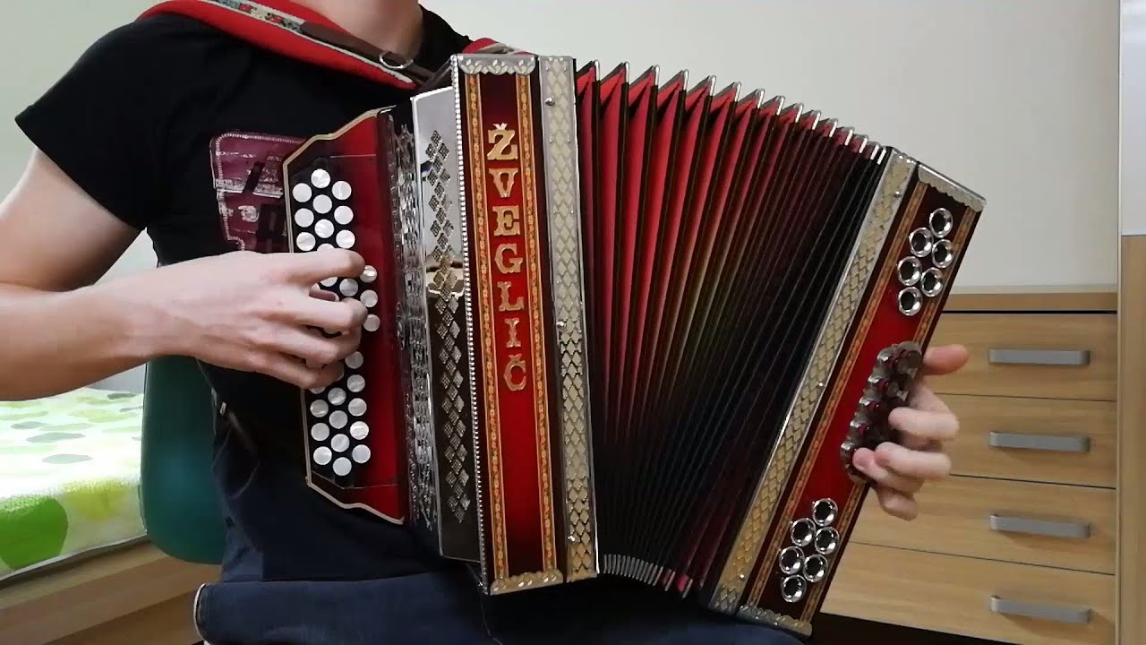 Slavko Avsenik - Na Avtocesti (harmonika)