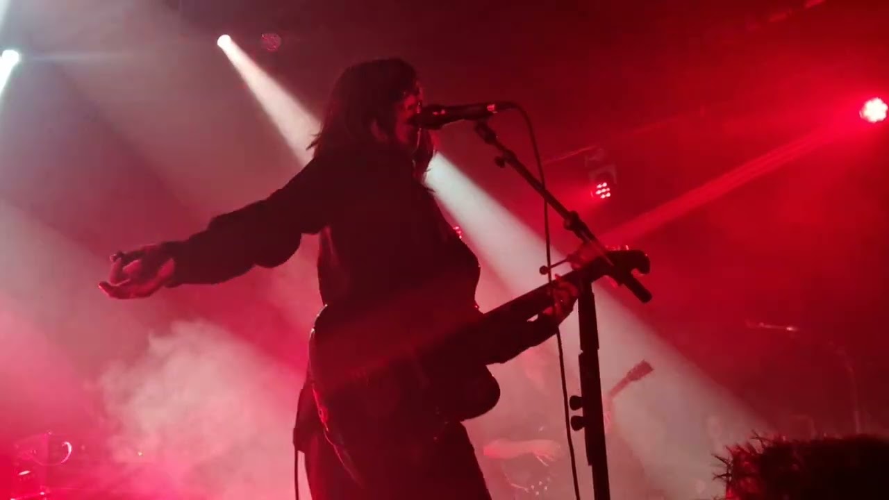 HEARTWORMS-war plane at leffingeleuren