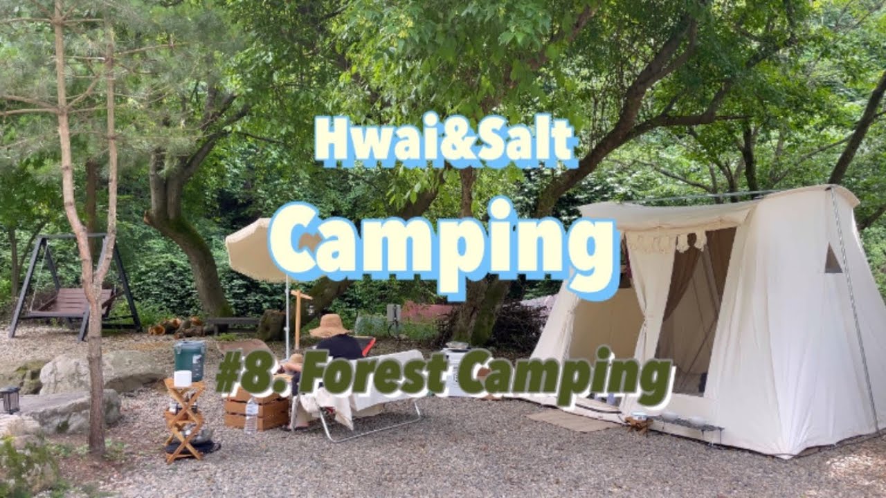 숲 속에서 캠핑하고 왔어요🏕 | 양평숲비룡캠핑장 | 우중캠핑 | 애견동반캠핑 | 멀고 먼 감성캠핑의 길