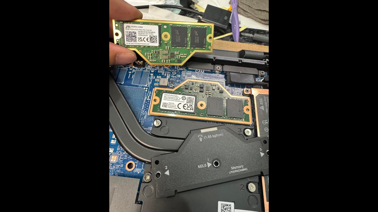 N&acirc;ng RAM MEMORY LAPTOP LPCAMM2 32G LPDDR5X 7500 RAMAXEL Dell Promax 14 | ThinkPad P1 G7 | 5M31L87413