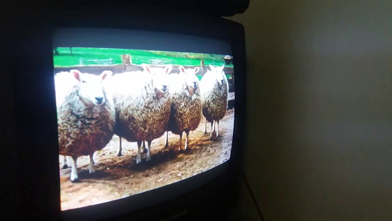 Opening to Flushed Away 2007 UK DVD (80 Subscribers Special)