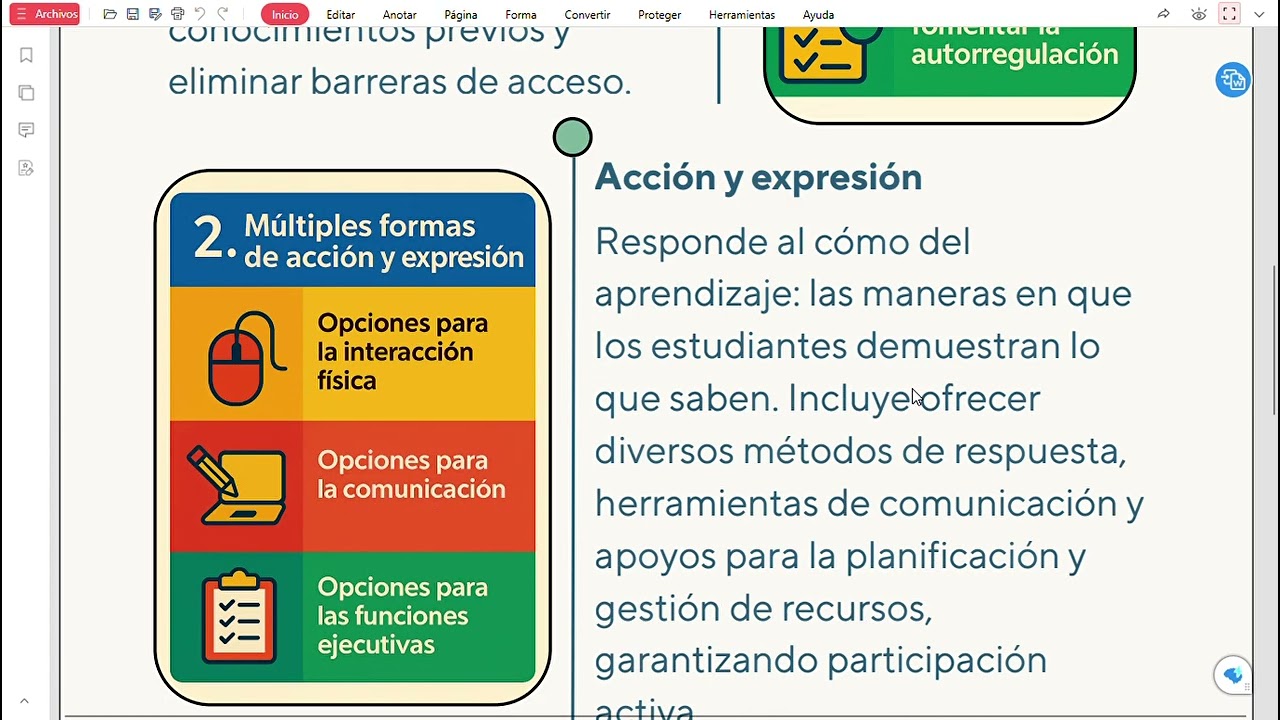 Principios DUA - Infografía