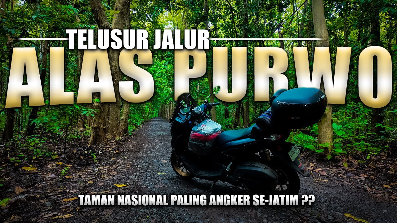 Menyusuri Jalur Taman Nasional ALAS PURWO, Pemandangan Apakah Yang Bisa Ditemukan Disini ??