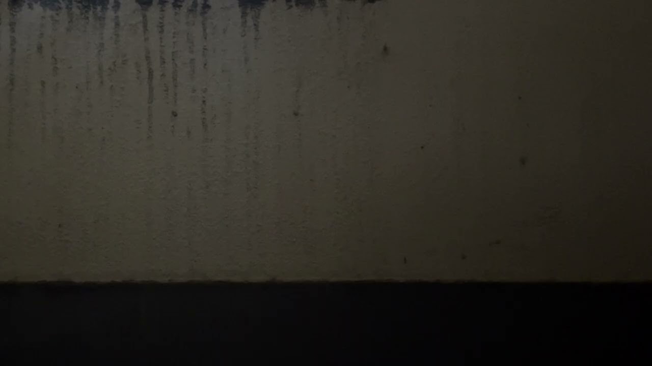 Quiet Late Afternoon Balcony Ambience | Urban Ambient Sound | No Music
