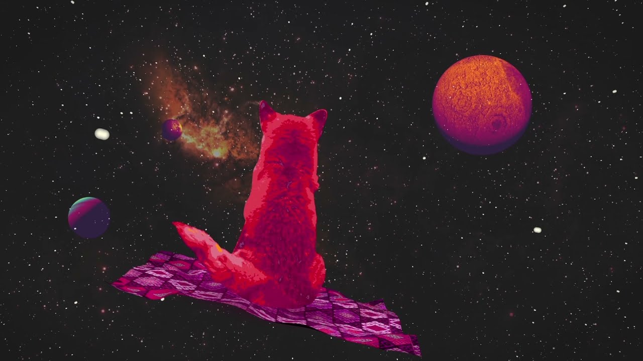 Duara - And Time Froze (Official Visualizer)