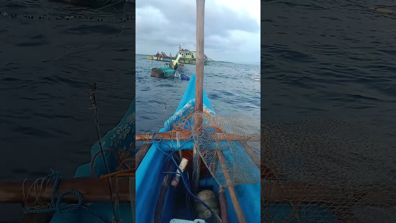 payaw harvest you tube fishing adventure