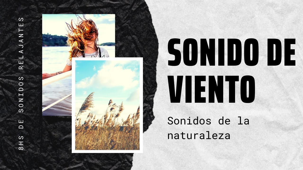 Sonido de VIENTO para DORMIR [8hs]