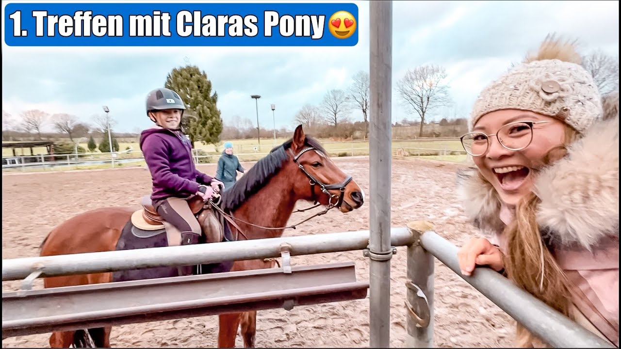 Claras 1. Treffen mit ihrem Pony 😍 Komm mit auf den Reiterhof! Eltern sagen JA zum Pferd Mamiseelen