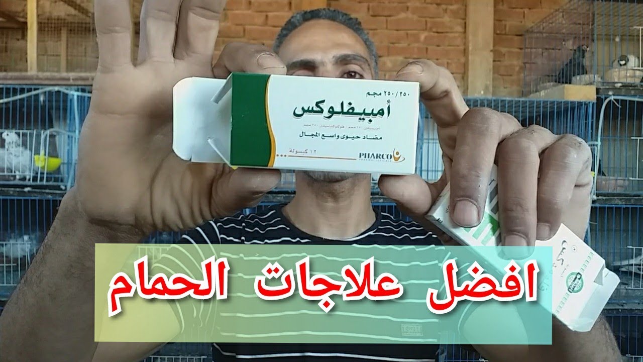 علاج 5×1 لجميع امراض سلومانيلا الحمام وجواز الحضان بعد الغزار#تربووومصر☝️