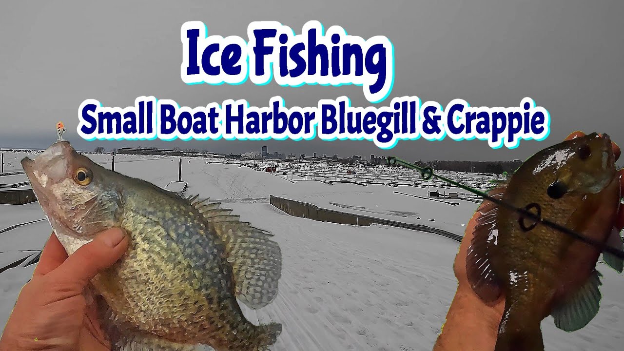 Ice Fishing Bluegill & Crappie @ Small Boat Harbor - Lake Erie