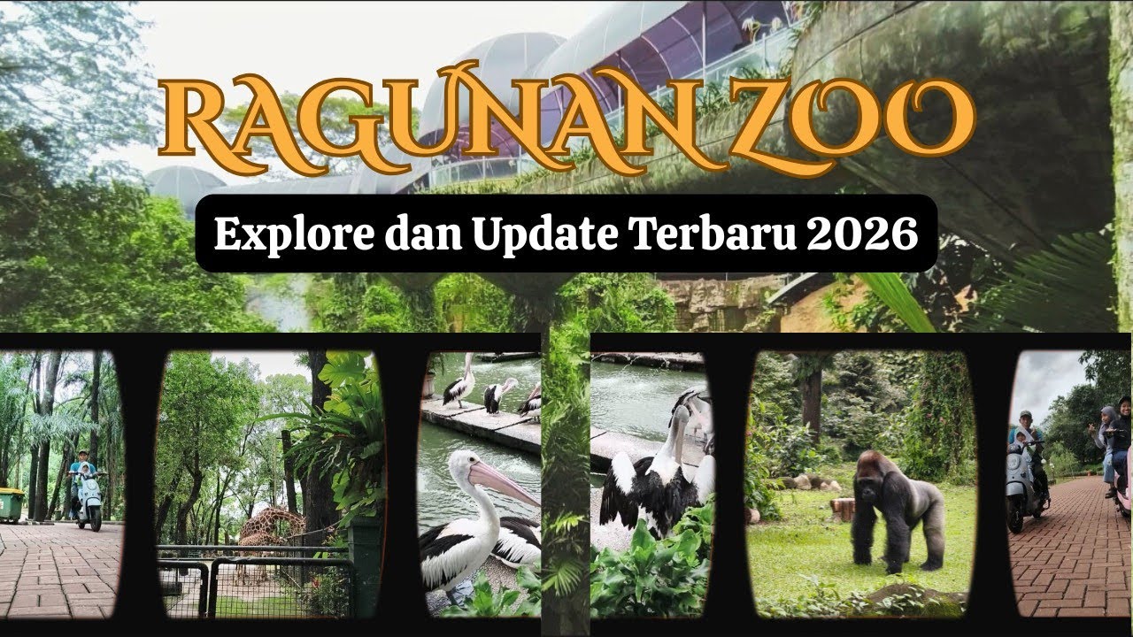 Explore dan Update Terbaru Ragunan Zoo 2026 | HTM, Pembelian Tiket & Fasilitas Umum