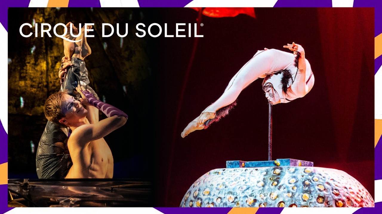Jaw-Dropping Contortion Highlights | OVO, LUZIA, Le Cirque Réinventé & Alegría | Cirque du Soleil