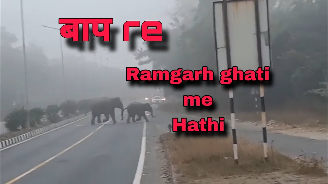 रामगढ़ घाटी में हाथी आया || #elephant 