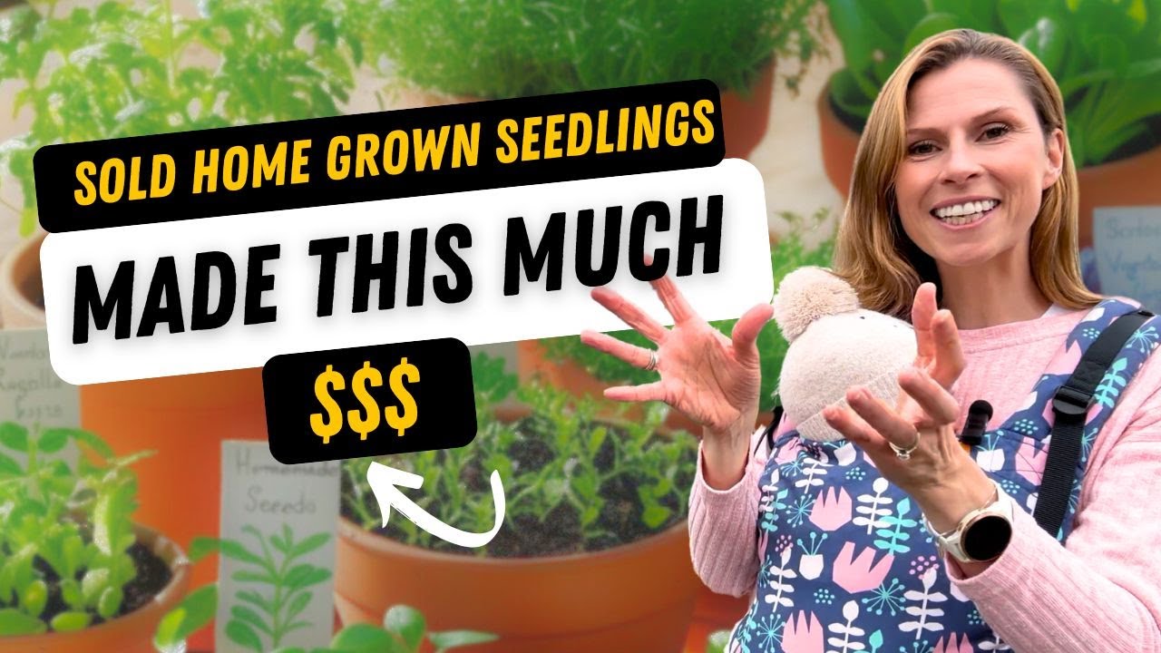 How much MONEY we raised selling seedlings! PLUS tips for fundraising with a home-grown plant stall