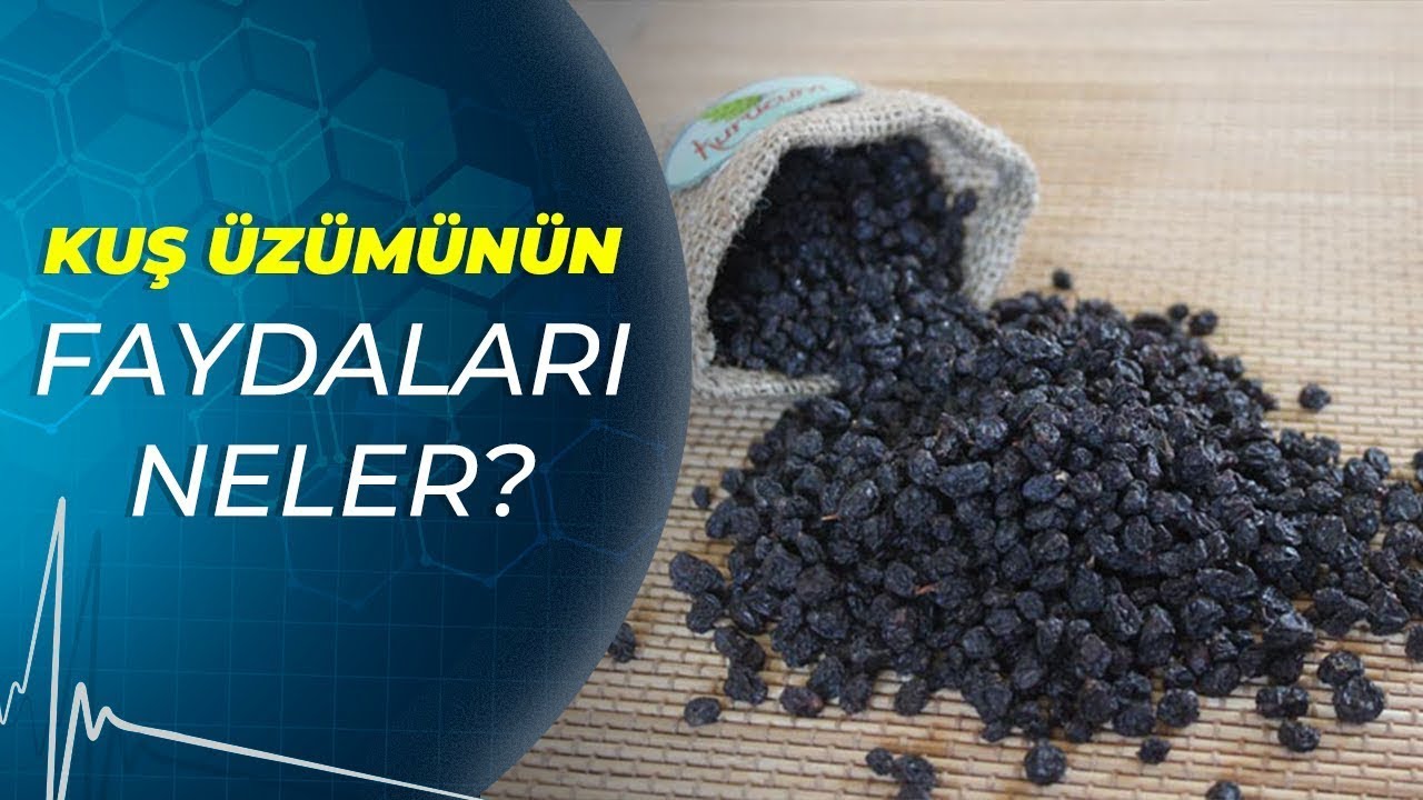 Kuş Üzümünün  Faydaları Nelerdir? - Sağlıklı Günler