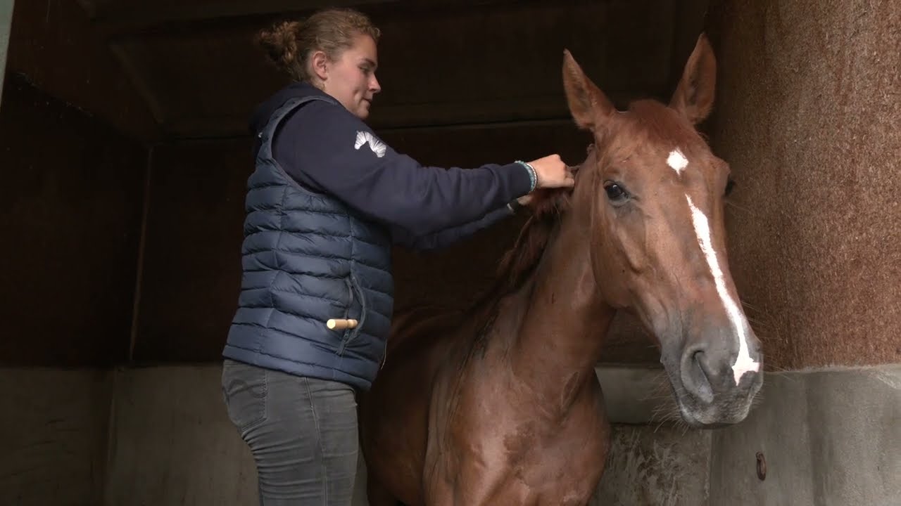 Une journée avec un groom