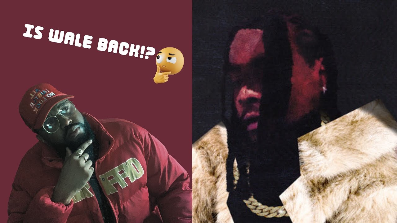 Wale - Everything Is A Lot ALBUM REVIEW