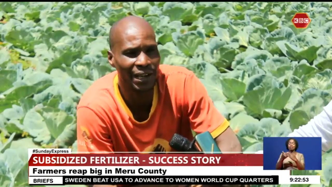 Farmers in Meru County are reaping big from their farmlands as compared to the previous seasons
