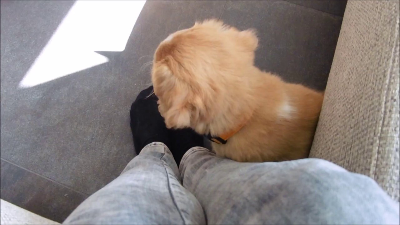 Getting to know Charlie
