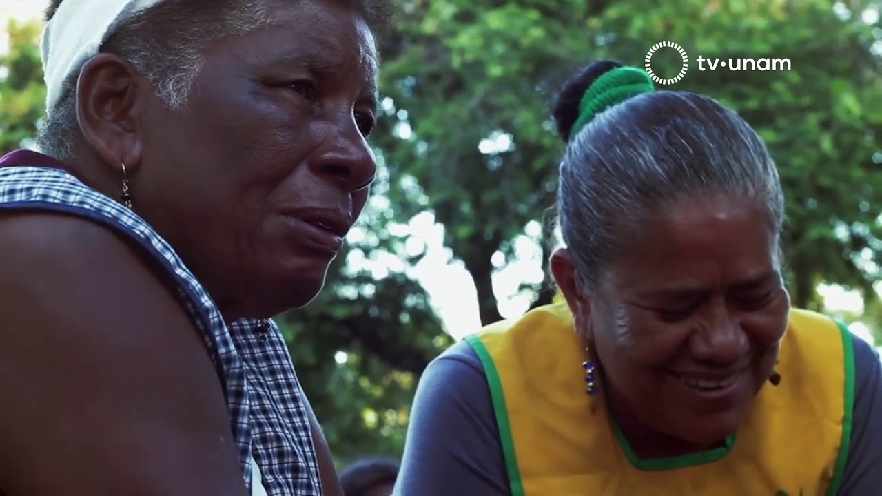 M&eacute;xico racista. Discriminaci&oacute;n y desigualdad social