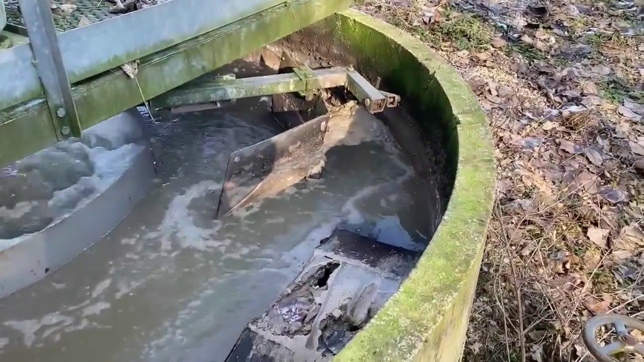 Projet PIC : Visite du lagunage du Paraclet
