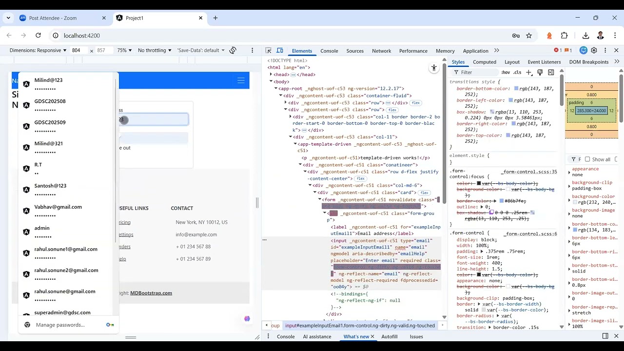 Angular Template-driven Form