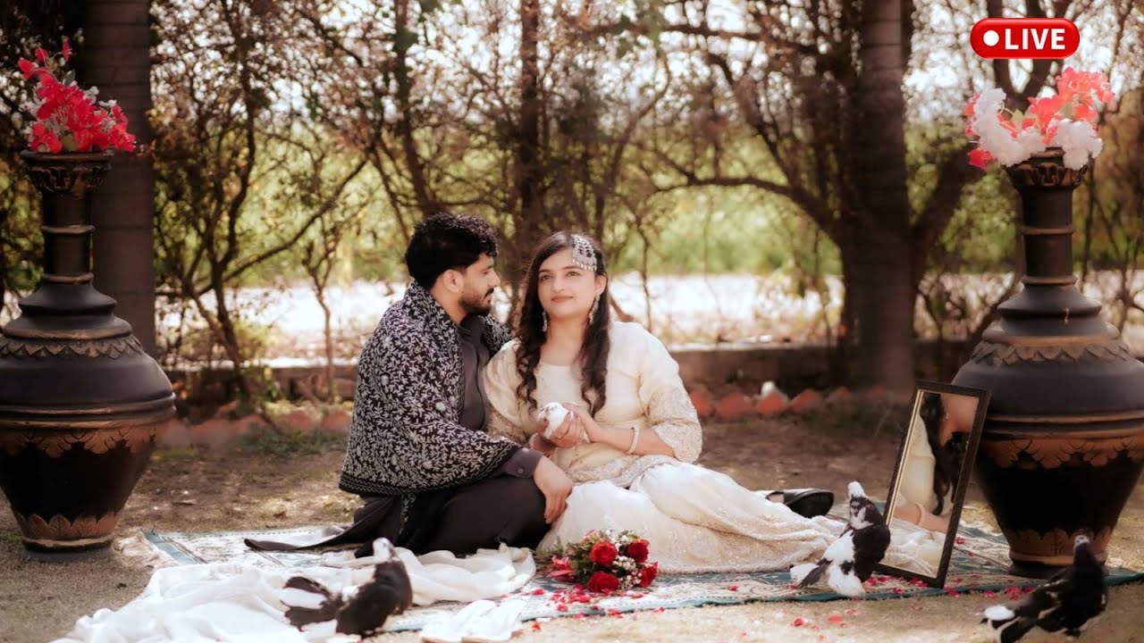 Live 🔴 Wedding Ceremony Mushtaq💞Shanaya Live By.Happy Photography 9815129961