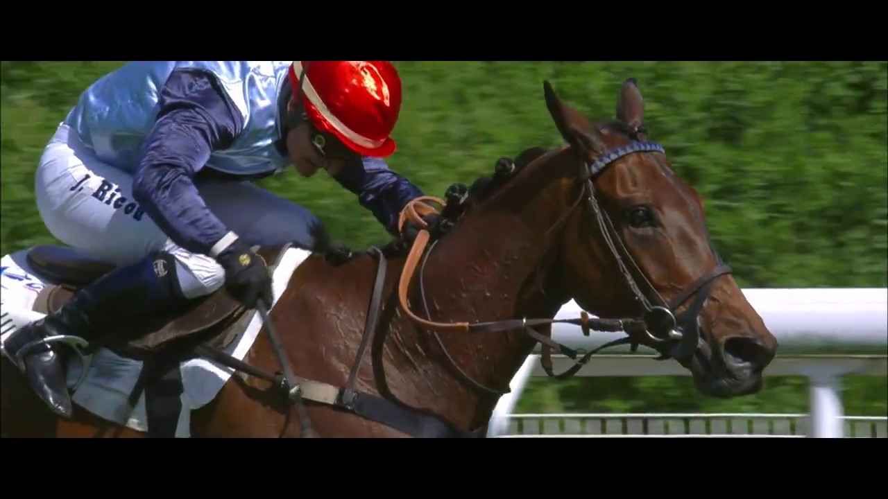 Milord Thomas - La naissance d'une l&eacute;gende des courses d'Obstacle !