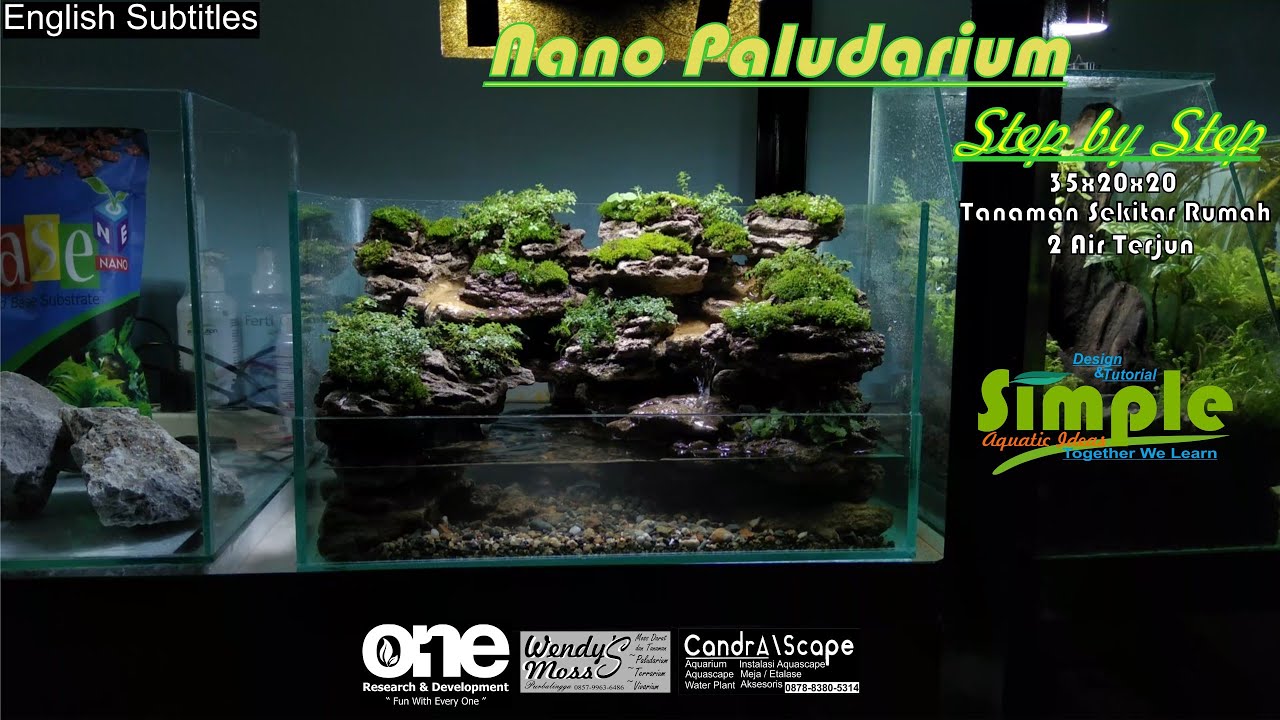 Step by Step Paludarium 35cm dengan dua air terjun mengalir tema air terjun purba #33