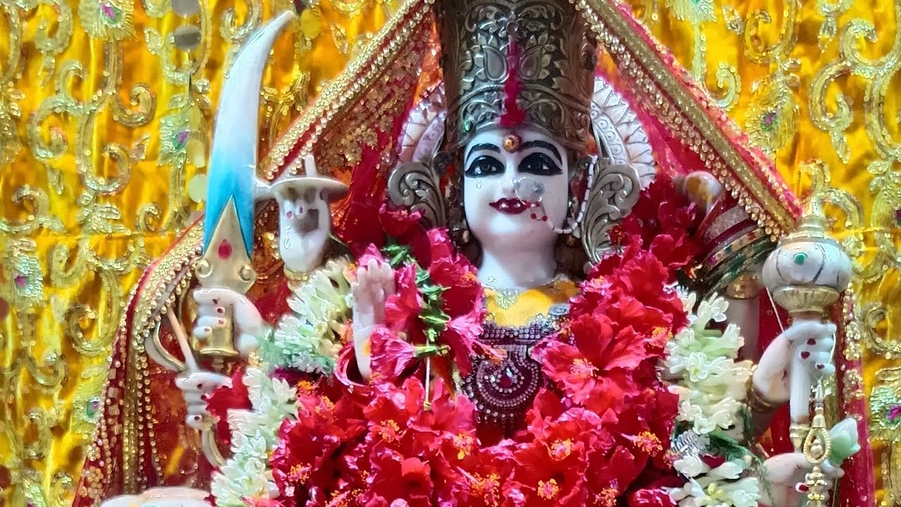 Khushbu Tiwari is live!