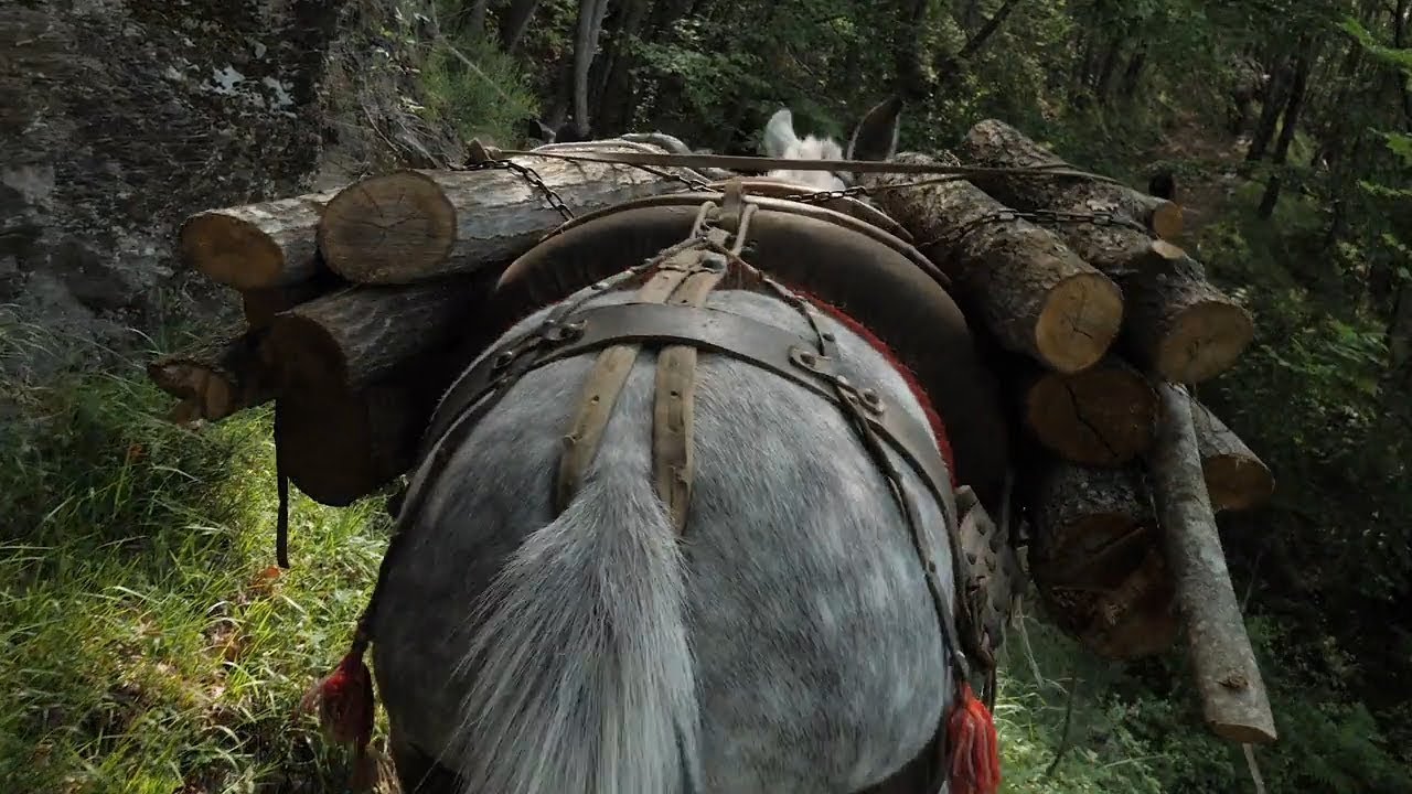 Gente di Zeri