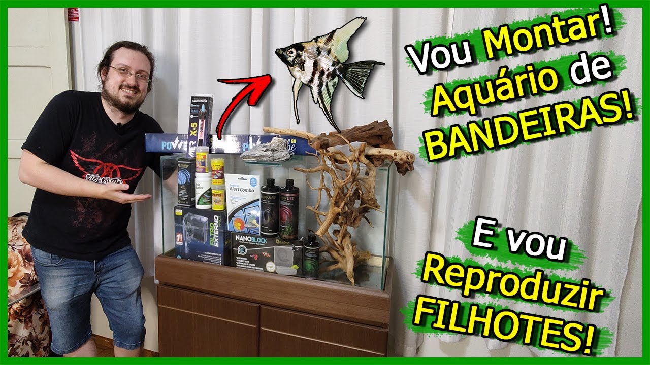 Vou Montar um Aquário de Acará Bandeira e vou REPRODUZIR FILHOTES!