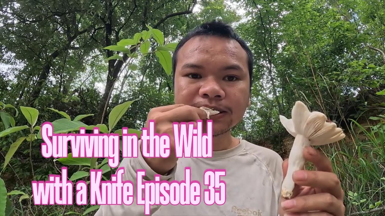 Surviving in the Wild with Only a Knife | Episode 35: Unknown Mushrooms — Are They Edible?