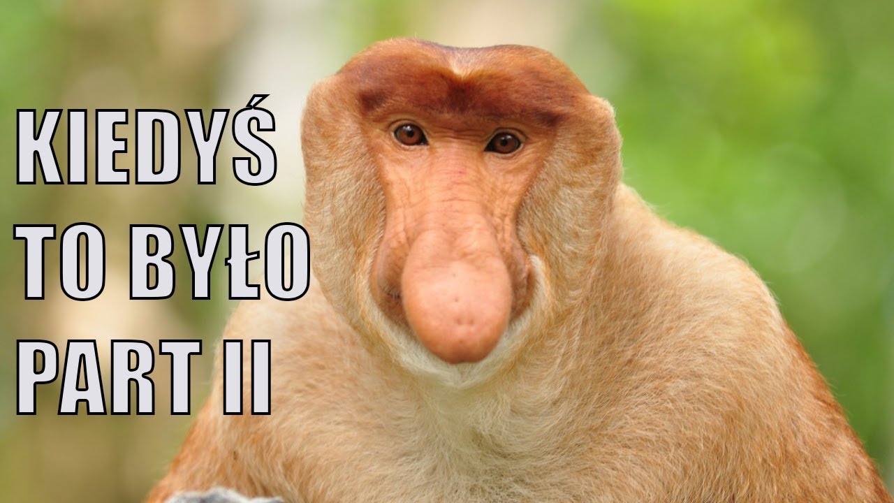 Kiedyś To Było! Part II (Stare czasopisma o grach)