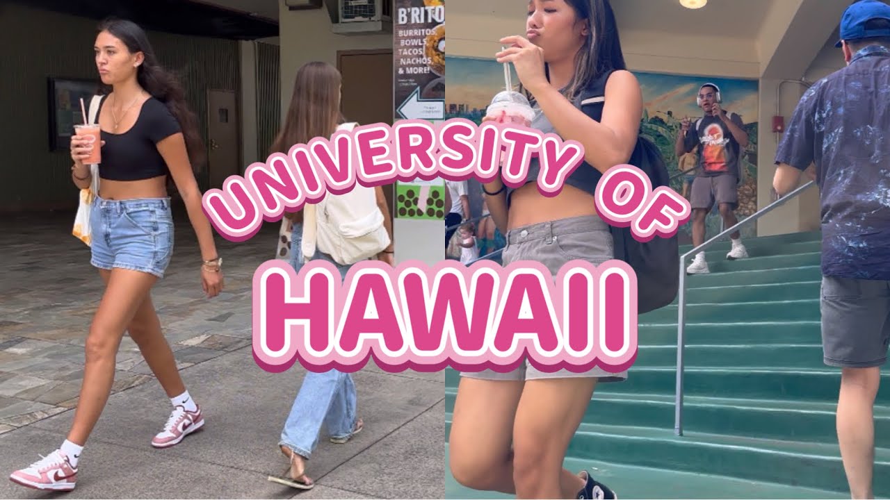 ハワイ大学🏝️University of Hawaii 購買部 ロゴ入りパーカーとTシャツ 買い物 カフェテリア マノア校キャンパス 校内 ハワイ土産 ハワイ旅行 おみやげ vlog