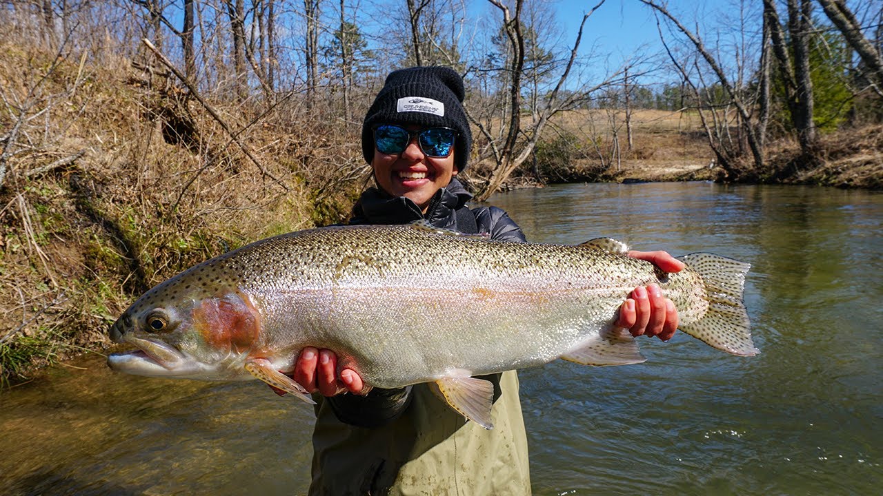 Fly Fishing Blue Ridge Georgia For Monster Trout | 1st Brown Trout - Ep. 10