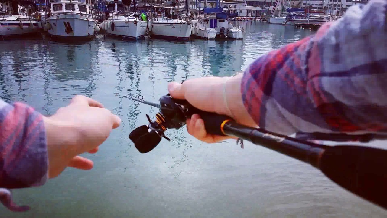 FISHING in TEL AVIV / Yarkon river / TEL AVIV port /Jaffa port (SHISHAMO LB 200/JHONCOO CASTING )