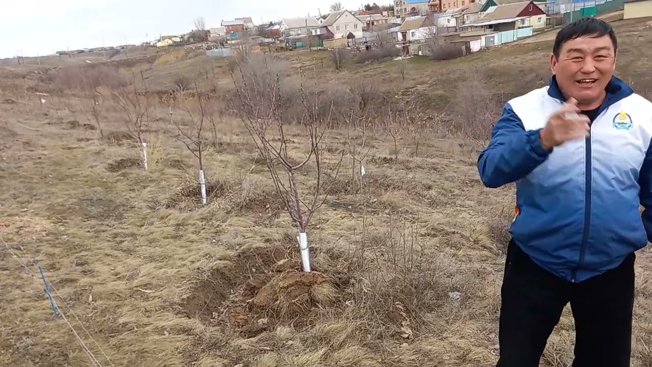 Поход на верблюдах в Хурул 