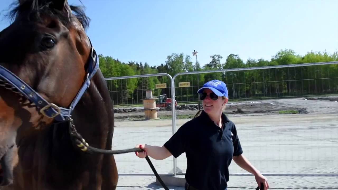 Från Täby Galopp till Bro Park