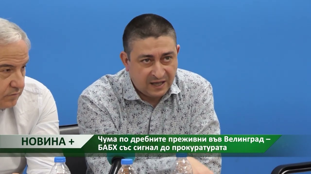 Новина плюс: Чума по дребните преживни във Велинград – БАБХ със сигнал до прокуратурата