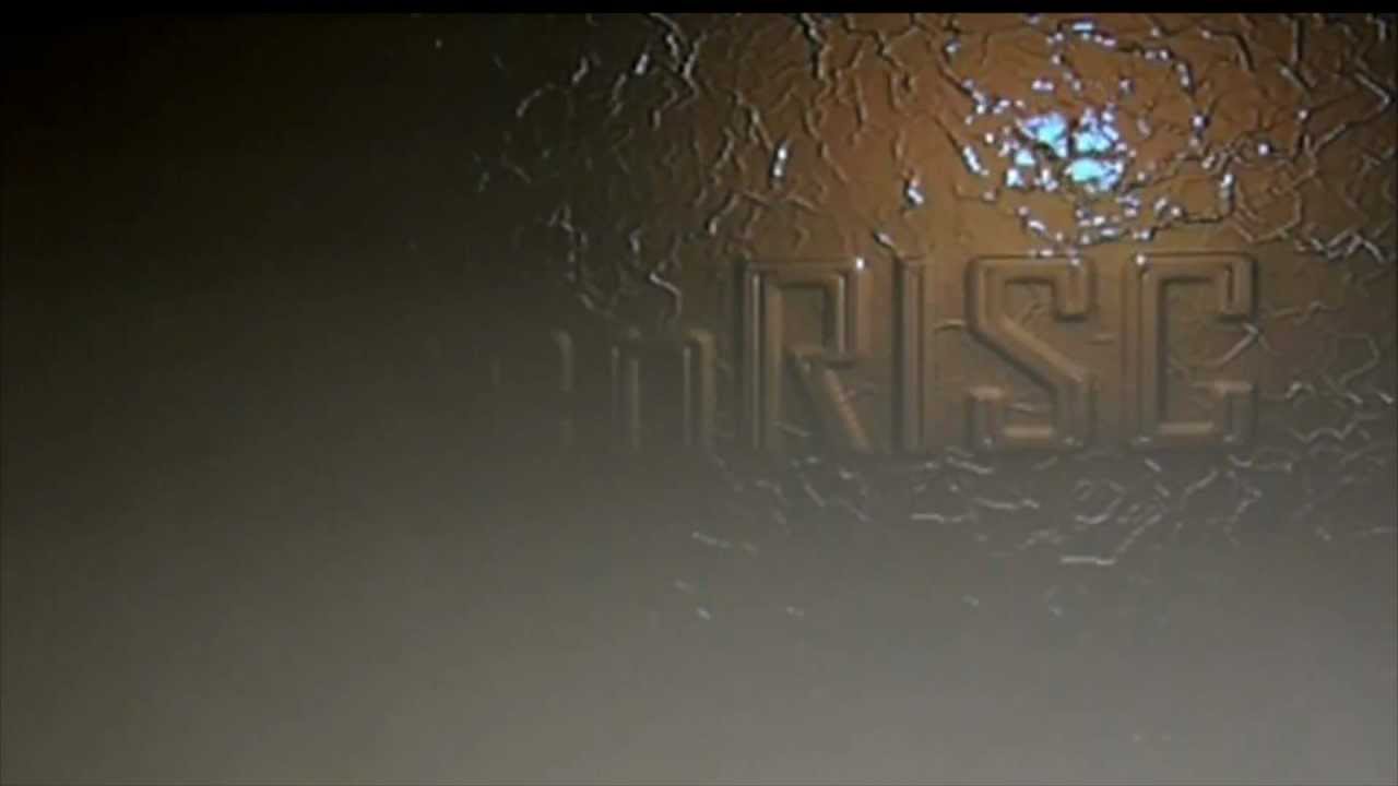 Open Source Processes for OpenRISC - OpenRISC Project Meeting 2012