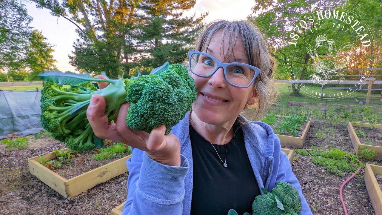 Grow all the Things | Containing My Enthusiasm